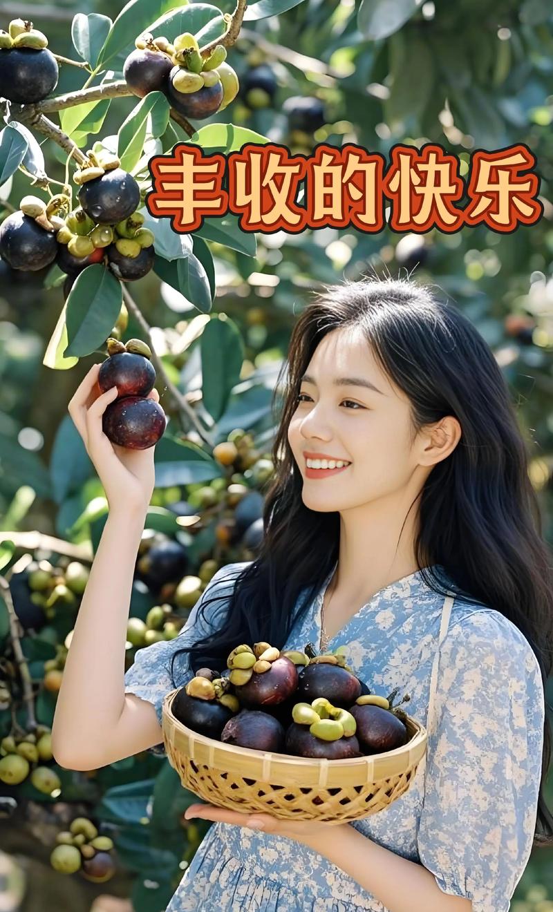 阳台适合养山竹吗？这样的风水布局好吗？