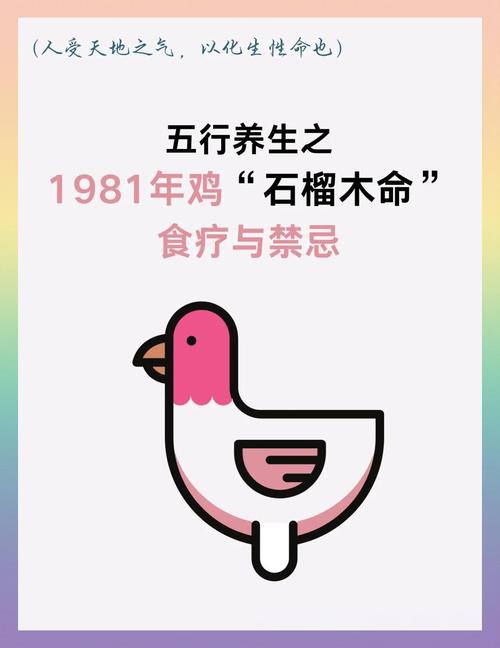 1981年属鸡的人改命是什么？