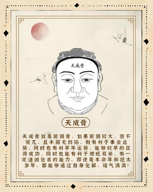 什么样的命相适合拍照，哪种骨相的人命运最为吉祥？