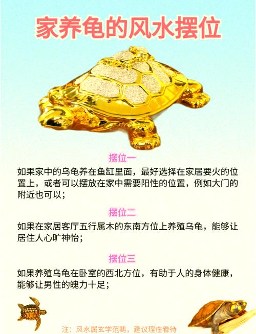 五元小乌龟的摆放与风水之间是否存在某种关联？