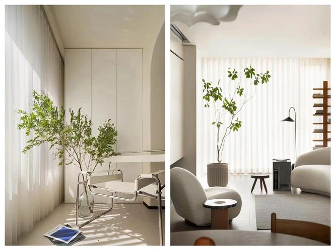 广东地区种植绿植时是否特别讲究与风水相关的布局和摆放技巧？