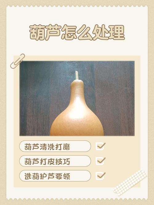 风水木葫芦可以用来清洗家居用品吗？