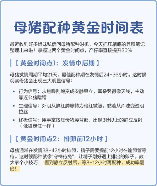 2020年出生的母猪是什么命？何时配种最为适宜？