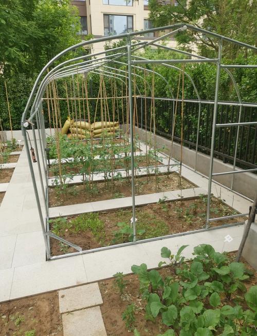 庭院种菜与风水之间是否存在某种联系？