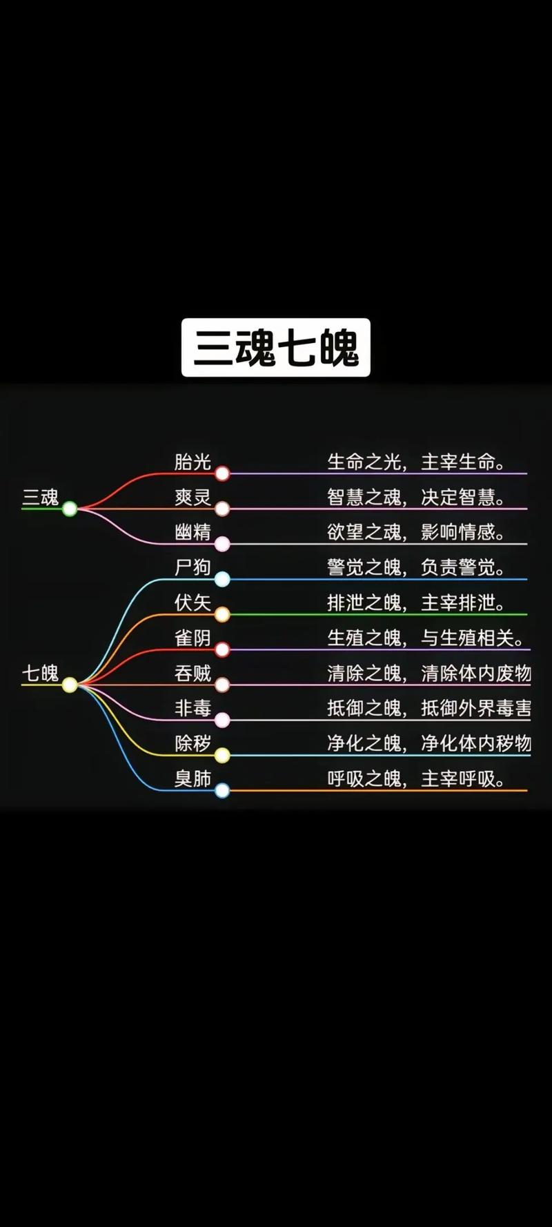 如何判断自己少了魂魄？命魂是啥？怎么获得？