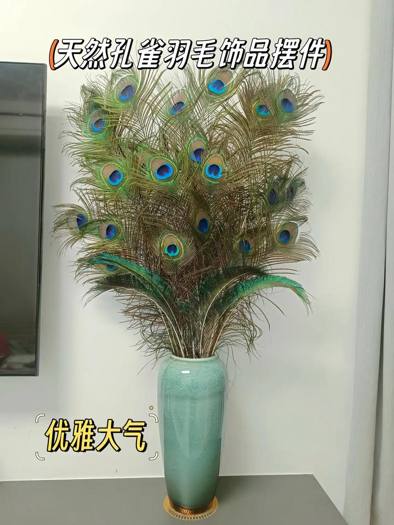 家里摆放孔雀羽毛，风水上可行吗？