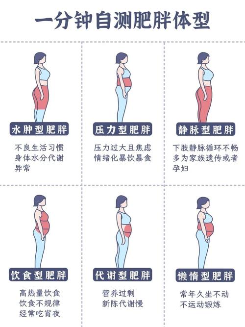 命格中哪些类型的人更适合胖身材，命格越重是否越有利于这种体型？