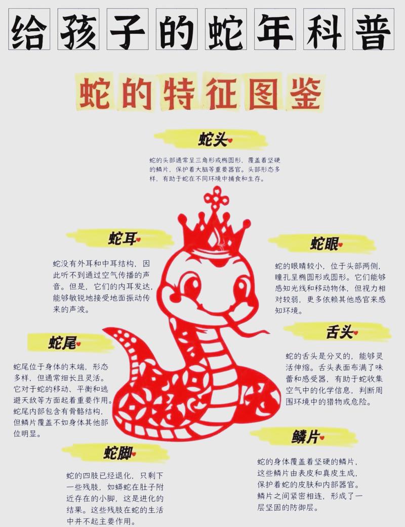 土蛇命里到底缺什么女命里又缺少哪些元素呢？