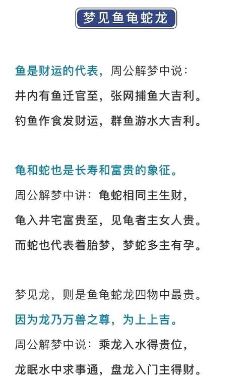 每天做梦与风水之间是否存在某种关联？