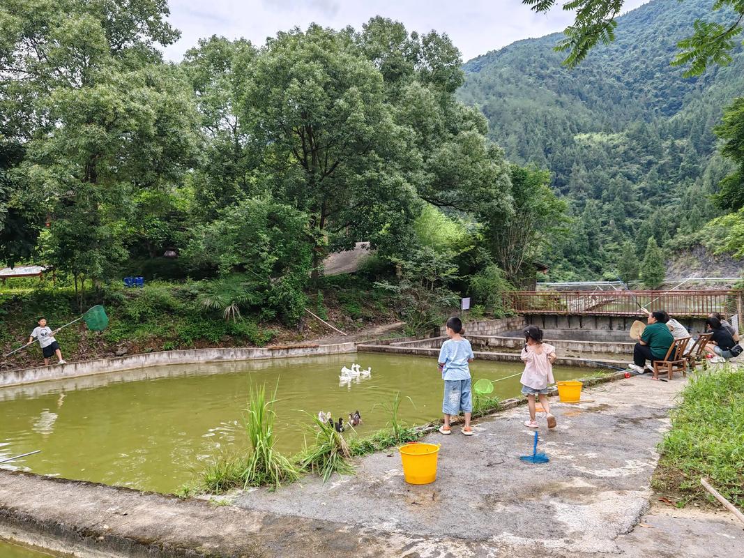 掉甲鱼进粪坑，这样的风水现象会有什么影响呢？