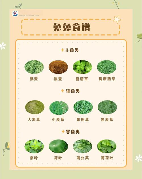 1963年属兔的人是什么命，应该吃什么菜？