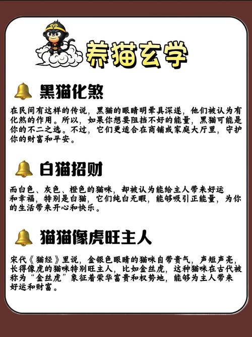 养猫在风水上有哪些讲究和说法？