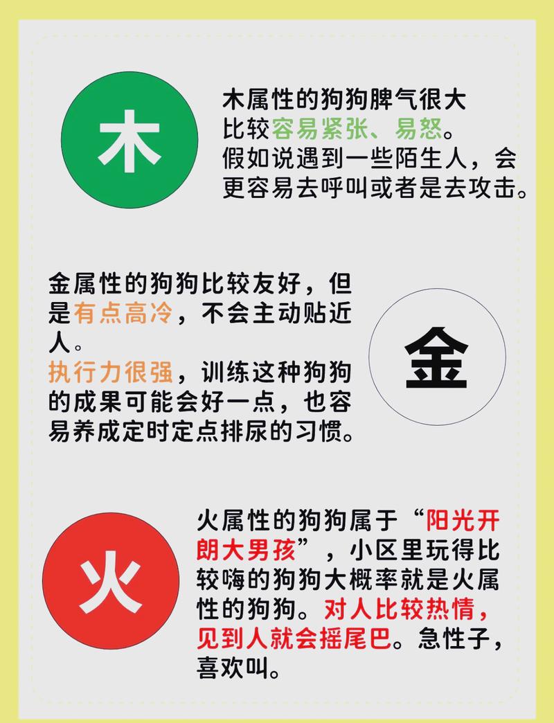 属狗木命的人喜欢什么，属狗金木水火命的人分别偏好什么？