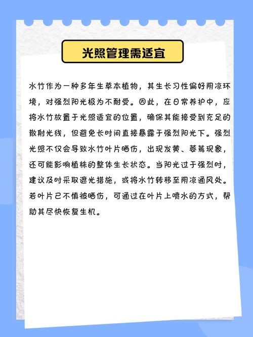 水生竹子风水与乳腺炎之间是否存在关联？
