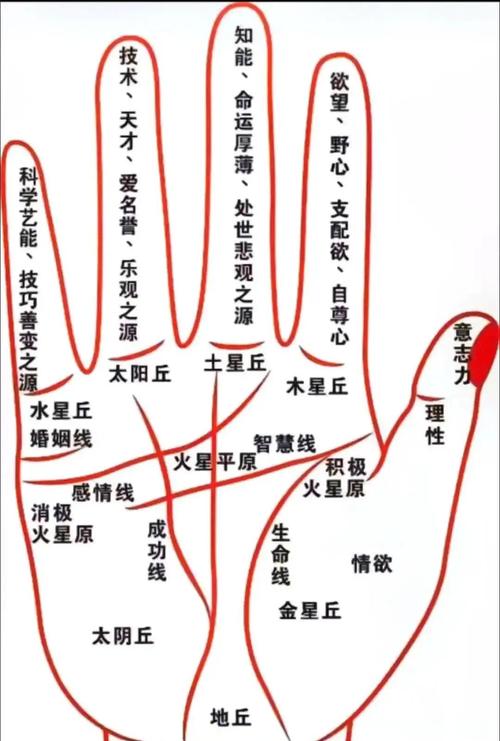 手纹清晰到能看清手掌细节的人命运如何？