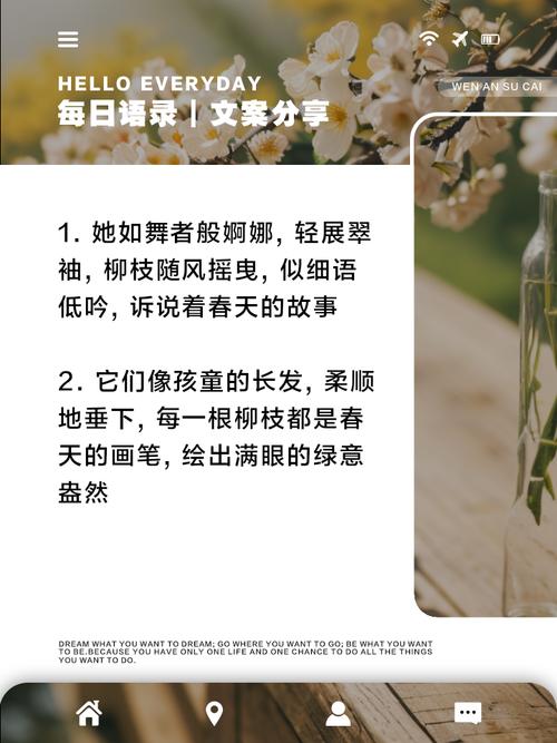 轻柳之命是什么命格？如何为长尾关键词？