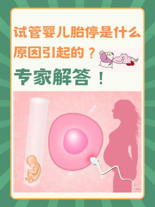 怀孕后做试管婴儿，哪周容易胎停？