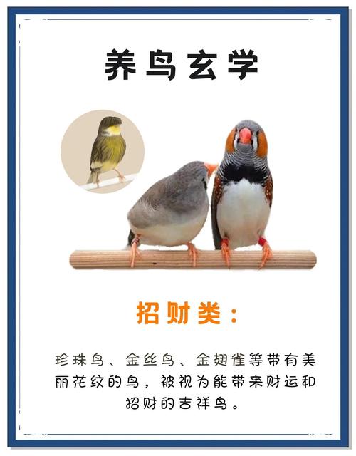 门口适合养鸟吗？这样的风水布局是否吉利？