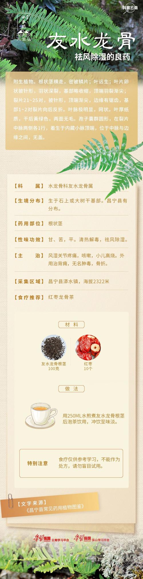 好风水真的能对骨头健康起到滋养作用吗？