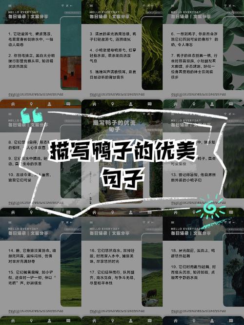 鸭子的命运能否改写为，使其成为？