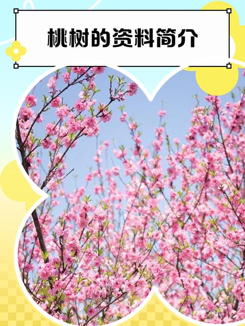 桃花作为风水树，其作用和意义有哪些？