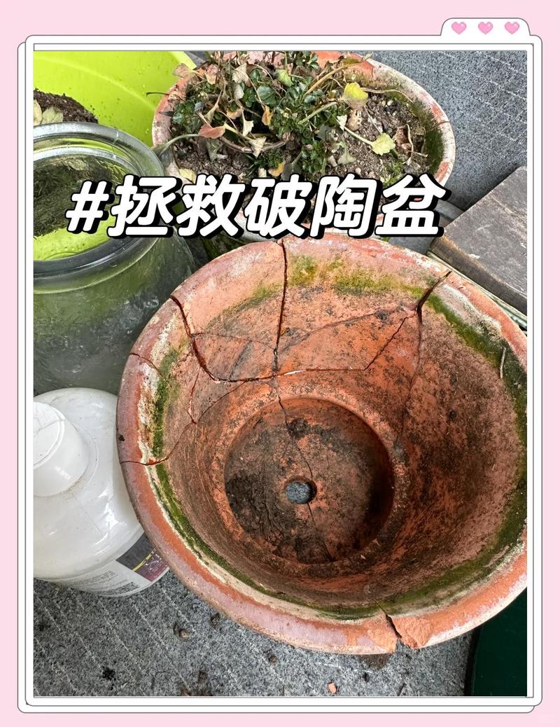 阳台花盘裂开会对家居风水产生什么影响？