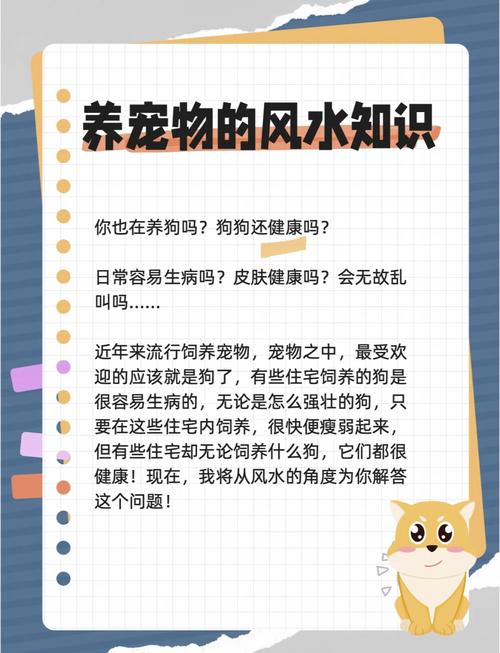 狗狗生病是否与风水有关联，这其中有怎样的说法呢？