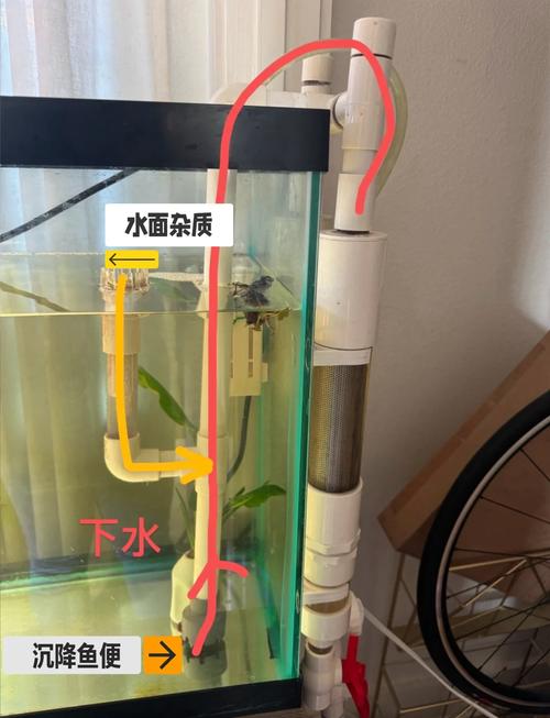 使用马桶养鱼会对家居风水产生怎样的不良影响呢？