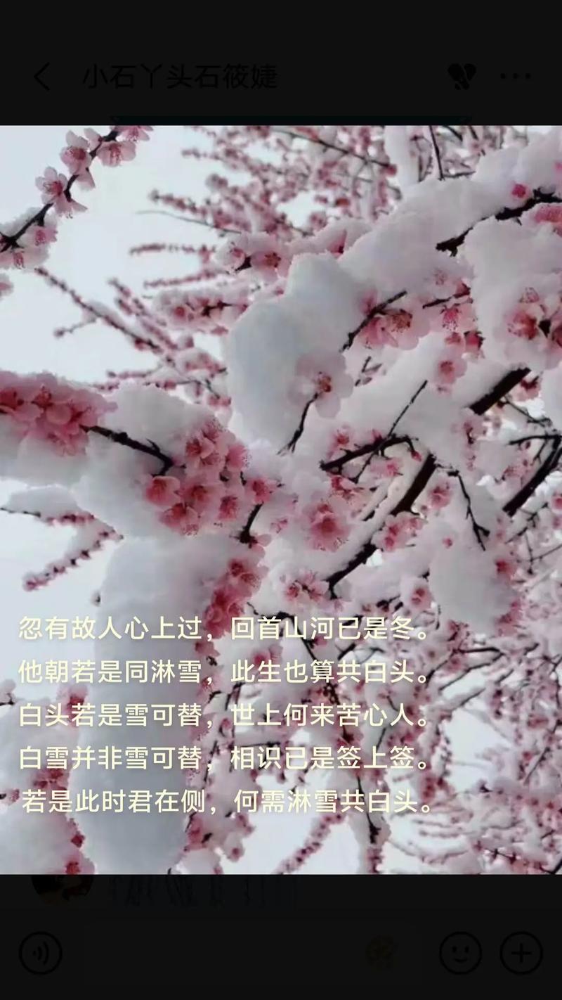 下雪为何预示娘娘命，佛语中下雪是否暗示前世欠了什么因果？