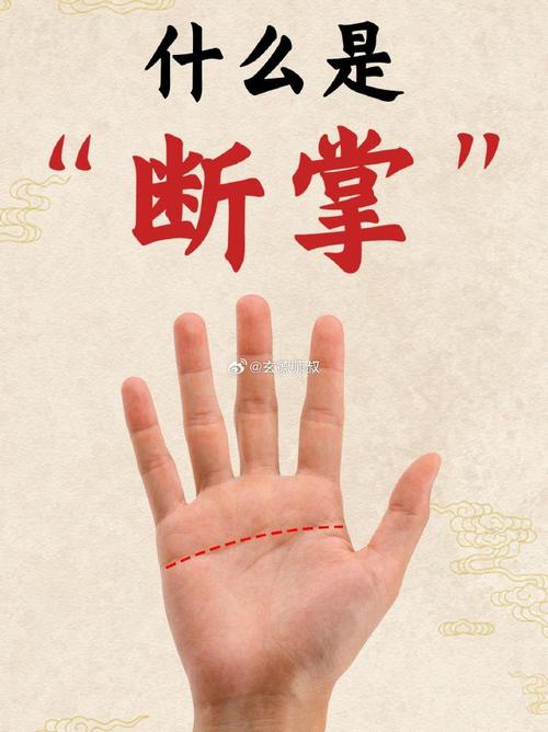 断掌能代表什么命格？断掌有什么含义？这两个问题能否合并为一个长尾关键词？