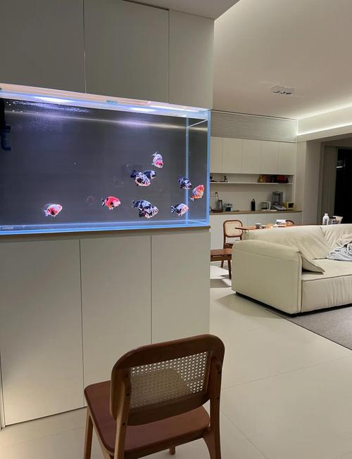 装修鱼缸时，有哪些风水讲究需要注意呢？