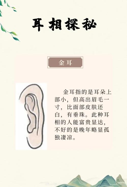 耳垂向下延伸至何处，其命理含义又是什么？