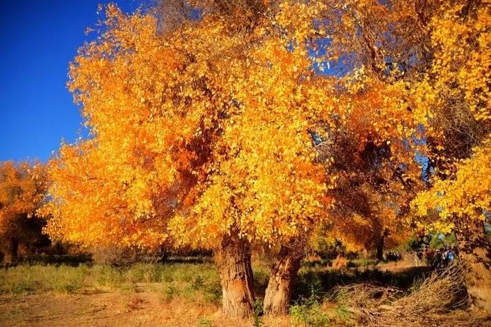 风水山水画有哪些讲究和注意事项？