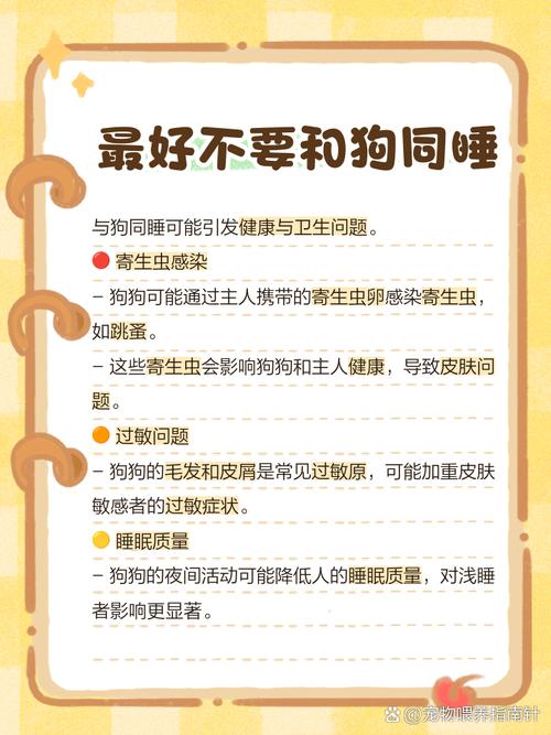 与狗狗同床共枕，这样的生活习惯会对家中的风水产生怎样的影响呢？