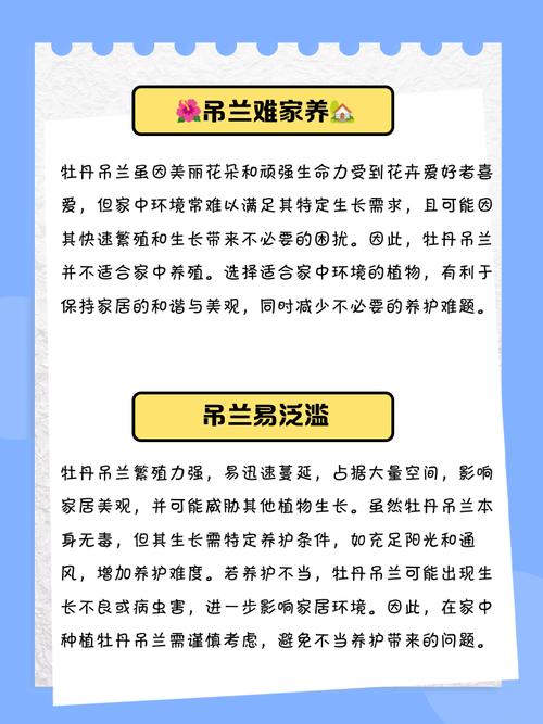 为什么说吊兰在风水上不适合养护？