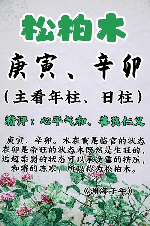 松柏木命女孩适合什么命格？