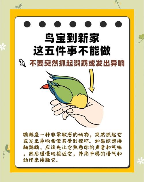 在家养鹦鹉风水如何，适宜吗？