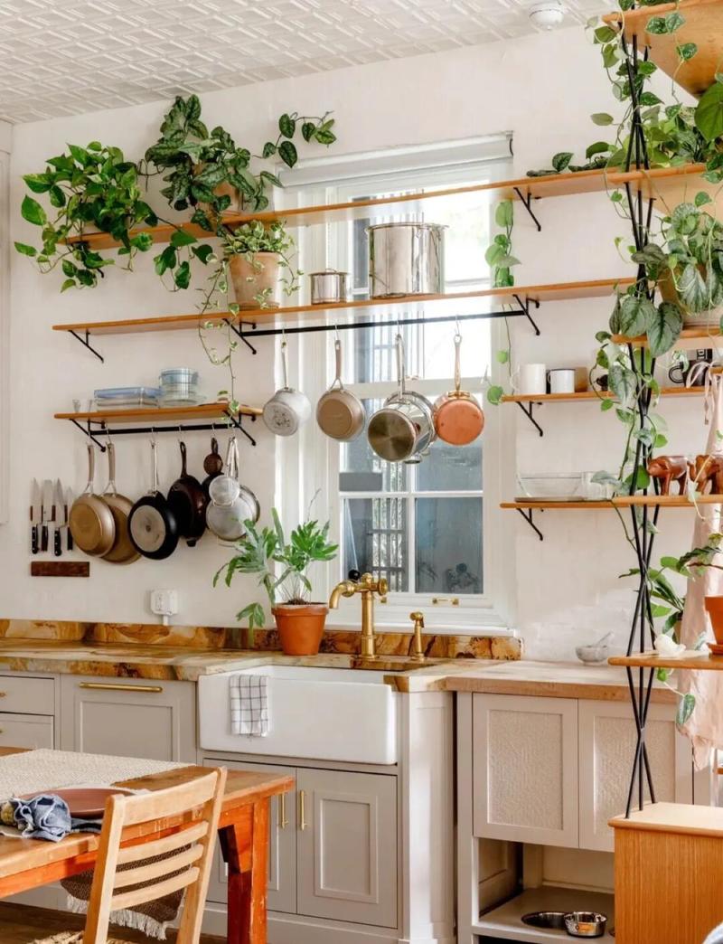 厨房摆放植物对家居风水有何具体影响？