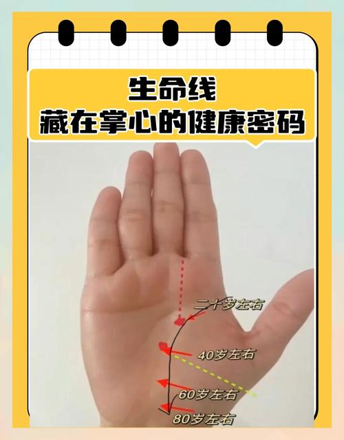 女人生命线短，她的寿命会因此变短吗？