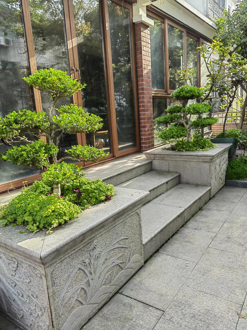 庭院里种什么树符合水命，适合庭院设计？