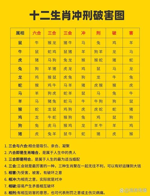 十二生肖中哪些生肖相冲相克？