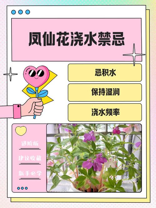 顶楼浇花会对住宅风水产生怎样的影响呢？