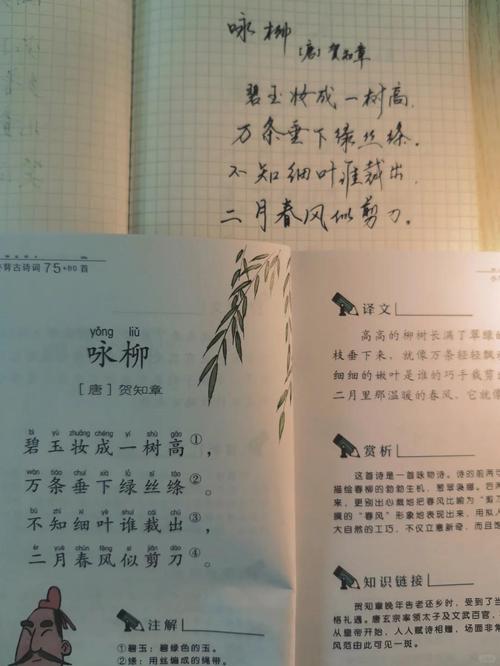 女人轻柳之命和自命清高是什么命格和意思？