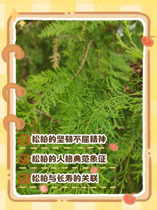 松柏木命的人有哪些忌讳？桑松木命是否容易改变？