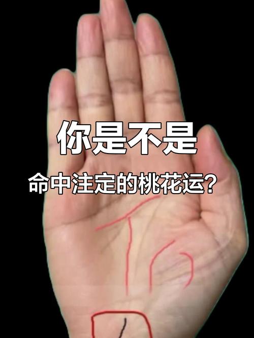 命占桃花手相，桃花超级旺的手相面相，如何改写为长尾关键词？