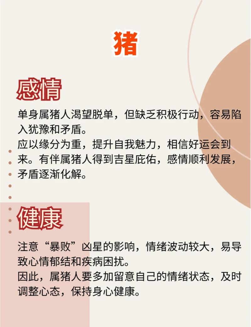 辛亥猪年及2019年属猪的人分别对应什么命？