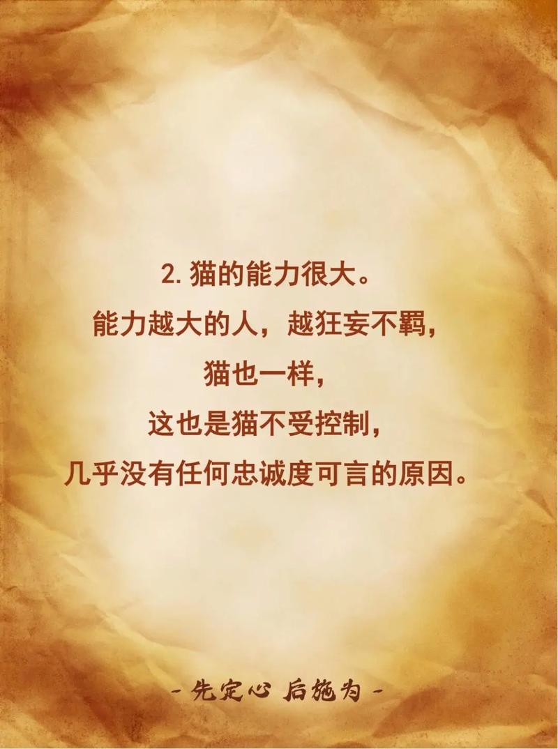 养猫真的嫩改变风水，开启好运之门吗？