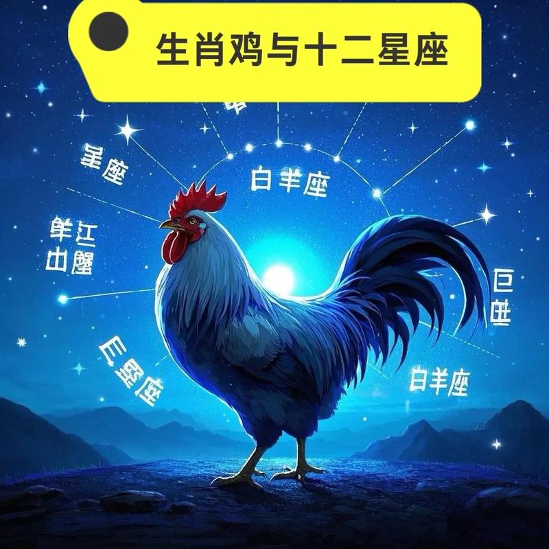 摩羯座的女生属鸡，她的命运究竟会怎样？