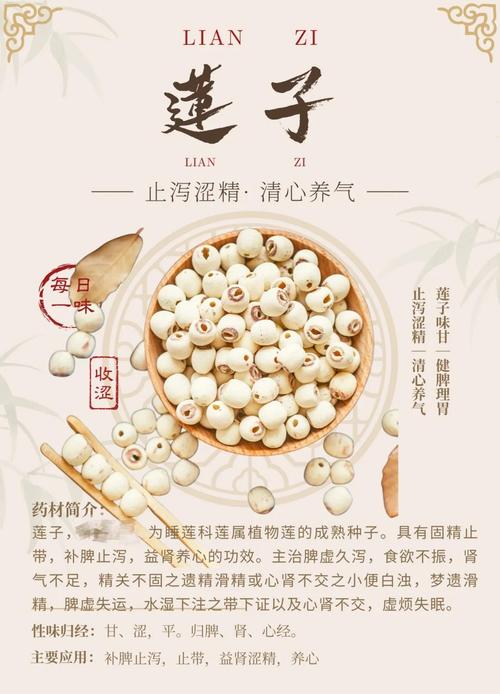 挡风水的莲子可以安全食用吗？