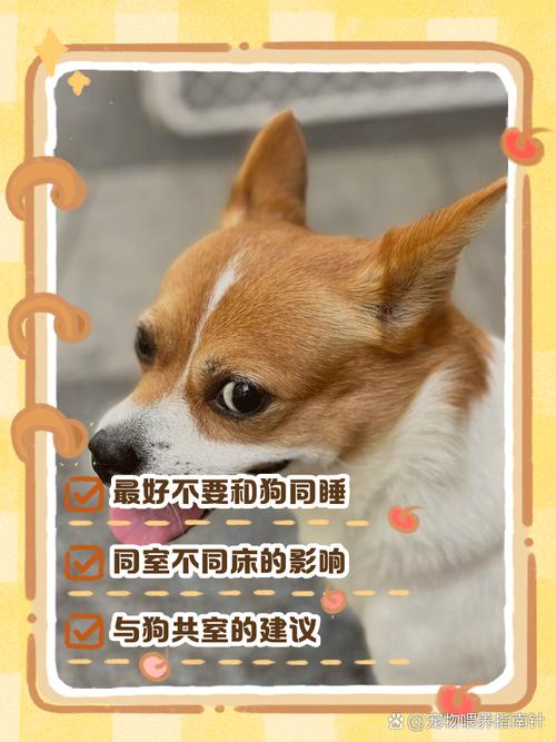 与狗狗同床共枕，这样的生活习惯会对家中的风水产生怎样的影响呢？